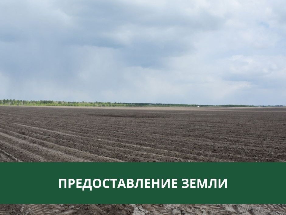Администрация предоставляет землю в аренду.