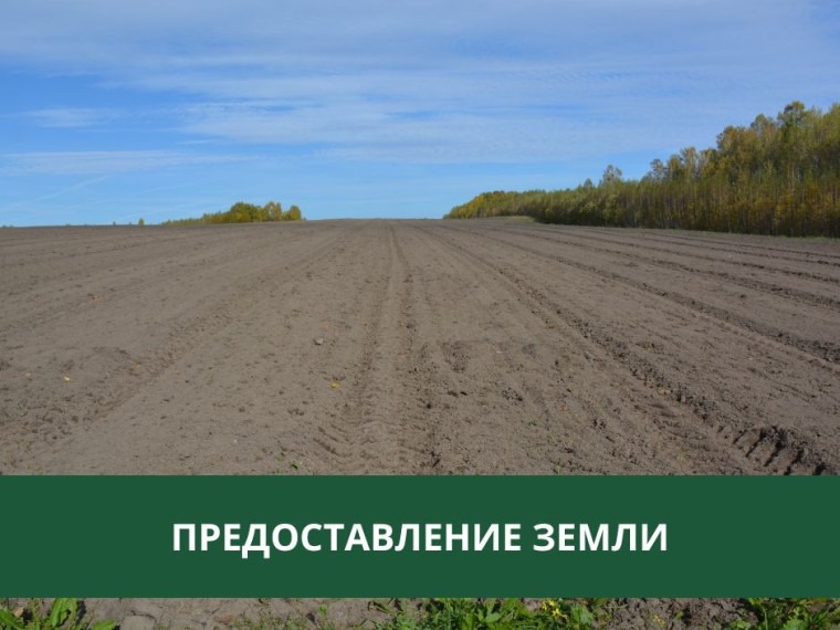Администрация предоставляет землю в аренду.