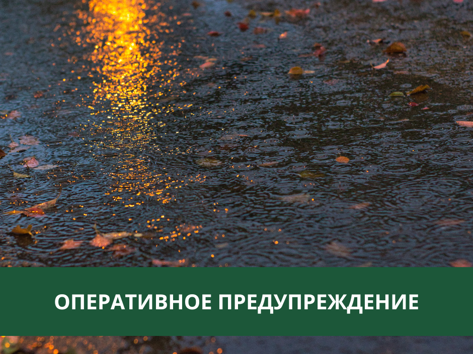 В Томском районе ожидаются сильные дожди, грозы и порывы ветра.